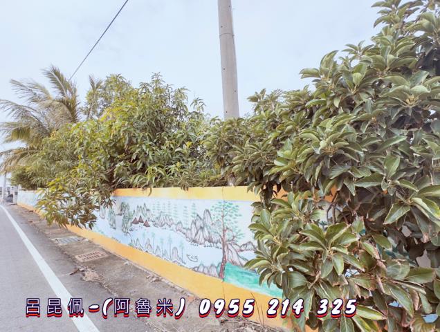 雲林水林建地-2
