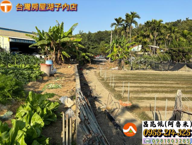 嘉義西區農地-2