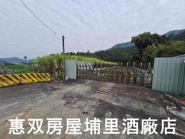 南投埔里農地-1