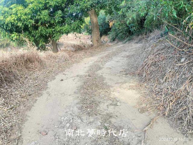 關廟農地-8