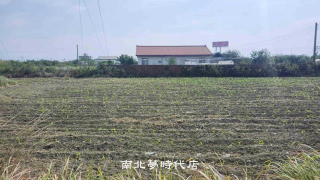 台南麻豆農地-2