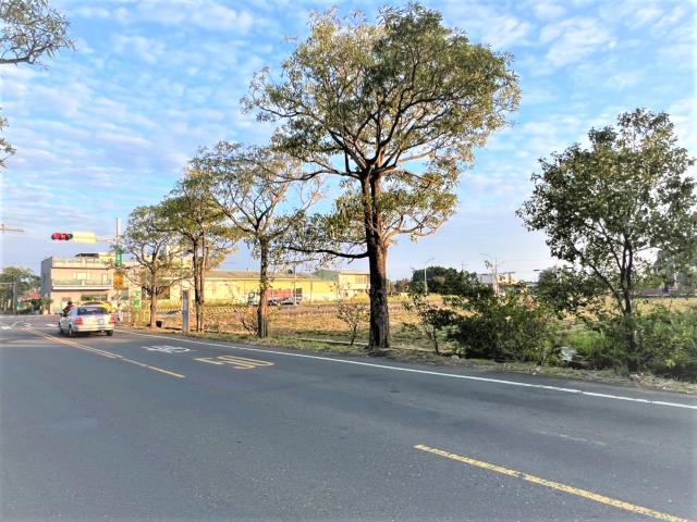 台南新化農地-3