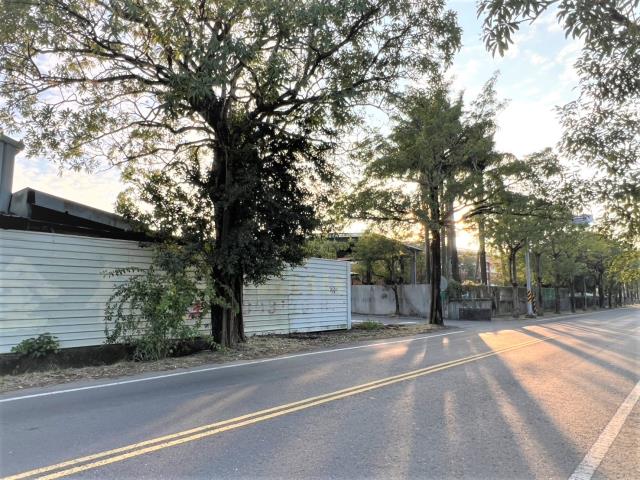 台南新化農地-5