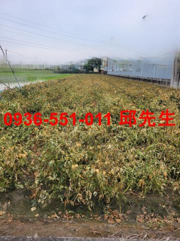 大寮農地-0