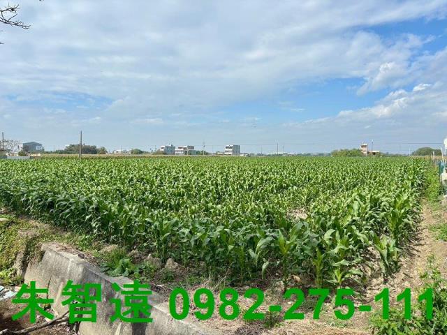 鹽水農地-2