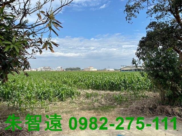 鹽水農地-5