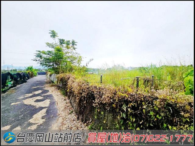 大社農地-14