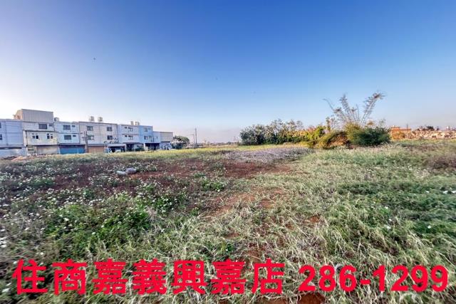 新豐農地-6