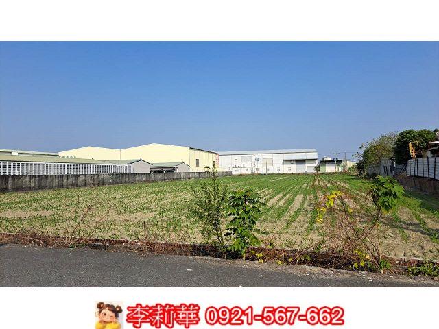 新市農地-3