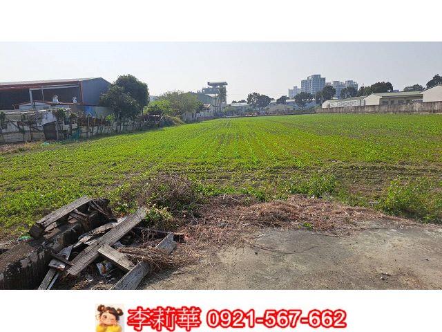新市農地-4