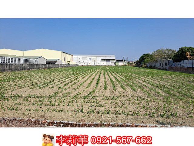 新市農地-6