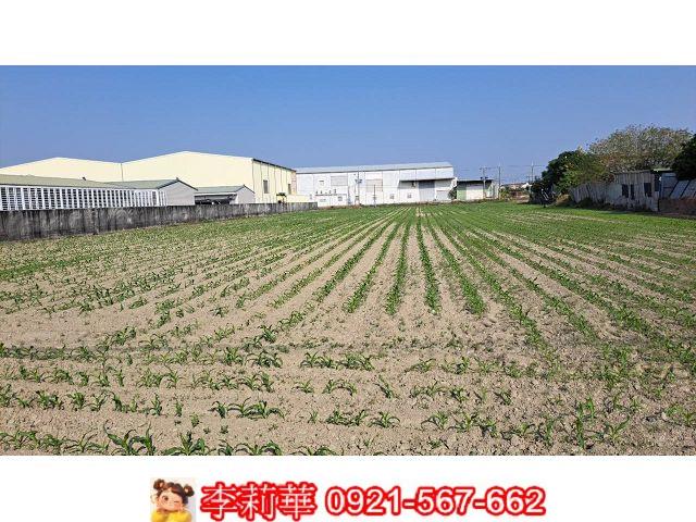 新市農地-7