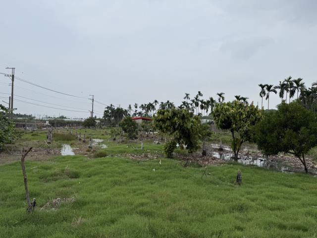 鹽埔農地-7