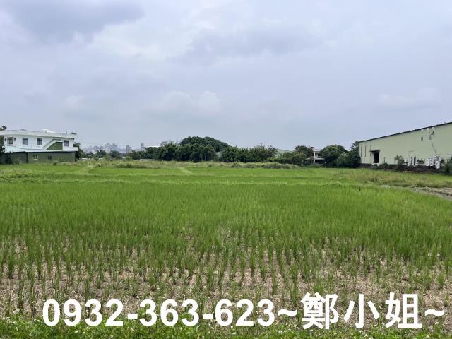 桃園區農地-1