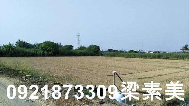 善化農地-0