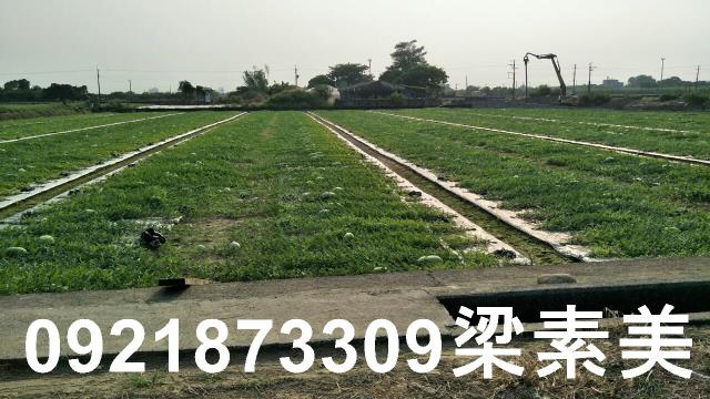 善化農地-1