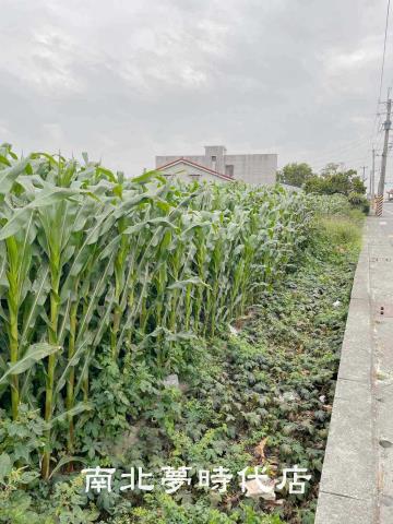 台南鹽水建地-2