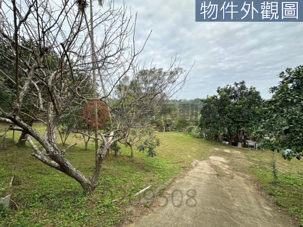 新竹竹東農地-5