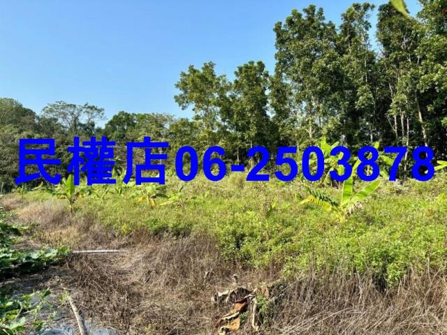 台南南化農地-9