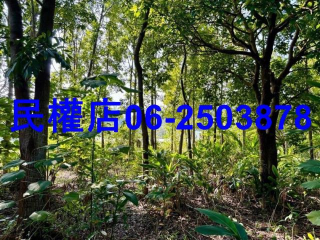 台南南化農地-11