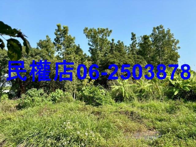 台南南化農地-3