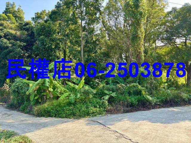 台南南化農地-4