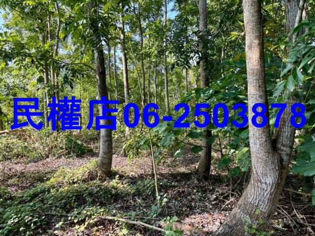 台南南化農地-8