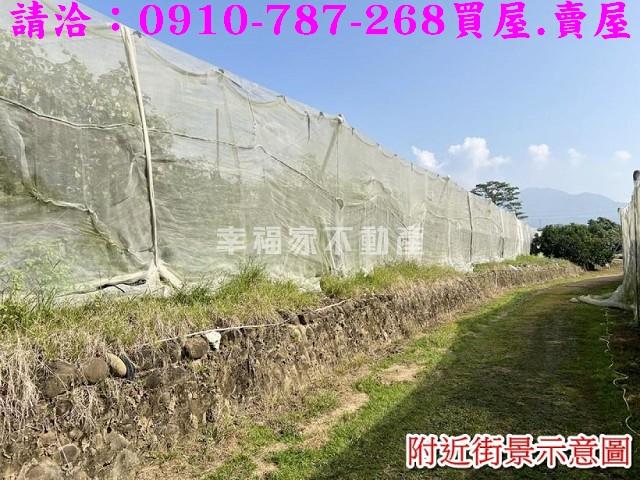 台南玉井農地-9