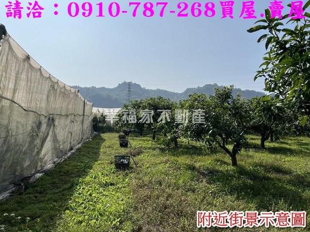 台南玉井農地-6