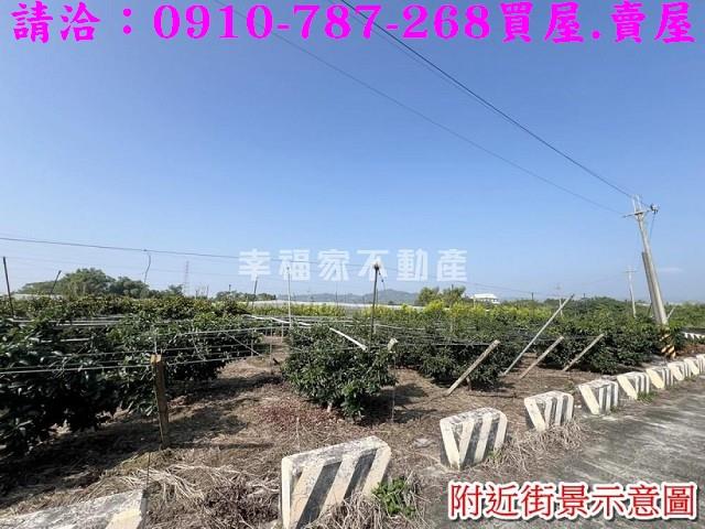 台南玉井農地-9