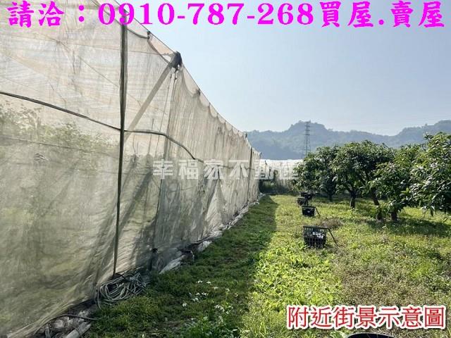 台南玉井農地-4