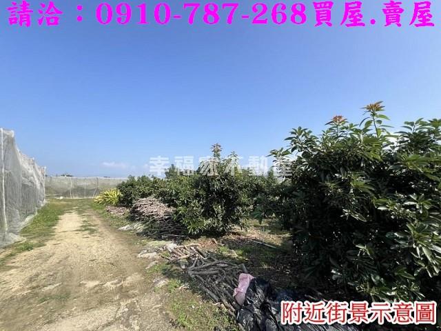 台南玉井農地-6