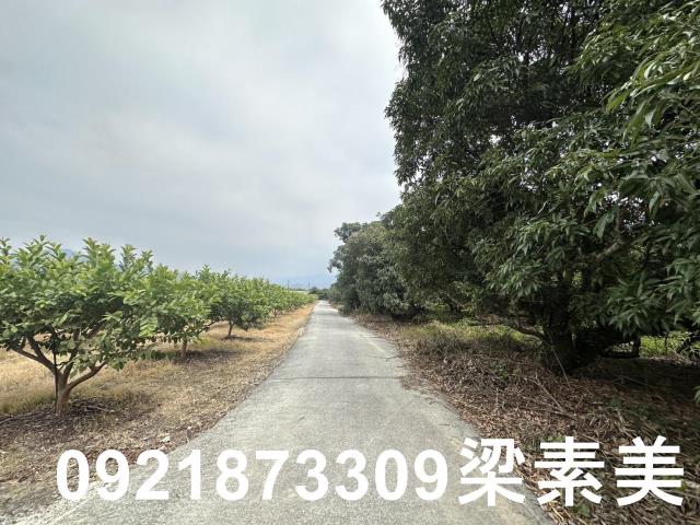 台南南化農地-9