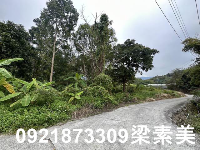 台南南化農地-11