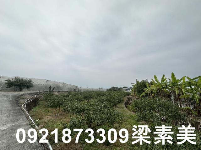 台南南化農地-2