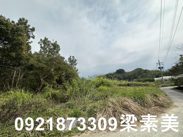 台南南化農地-4