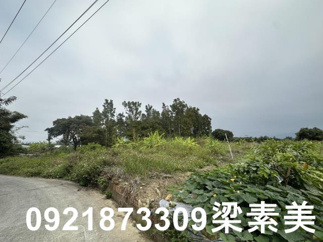 台南南化農地-5