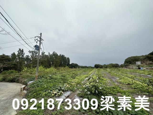 台南南化農地-6