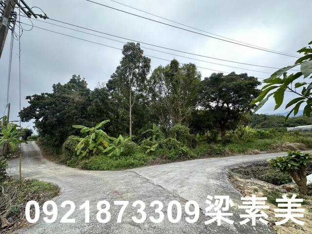 台南南化農地-7