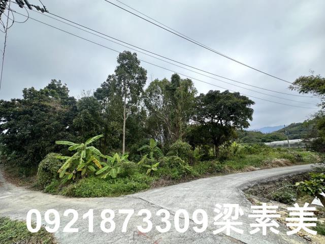 台南南化農地-8