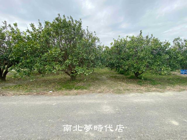 台南麻豆農地-3