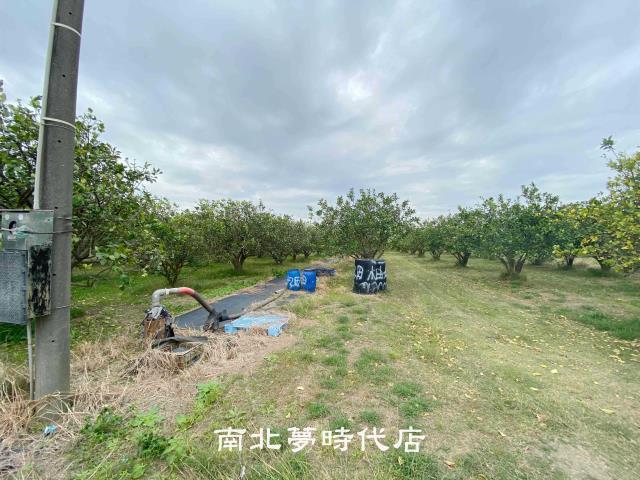台南麻豆農地-4