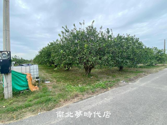 台南麻豆農地-4