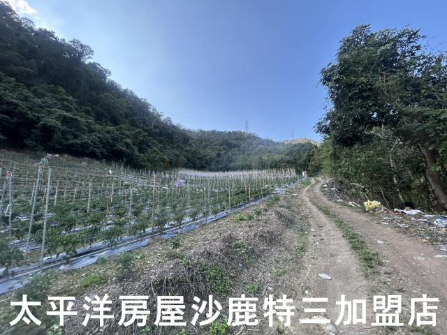 台中和平農地-3
