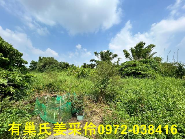 嘉義水上農地-0
