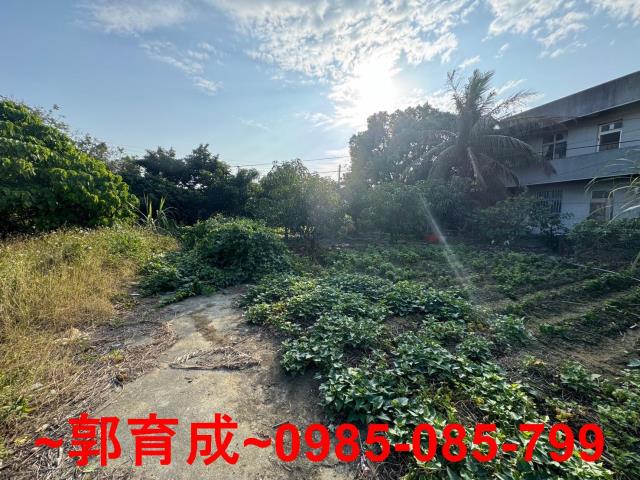 嘉義民雄建地-6