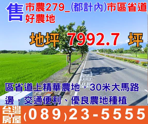 台東市農地-0