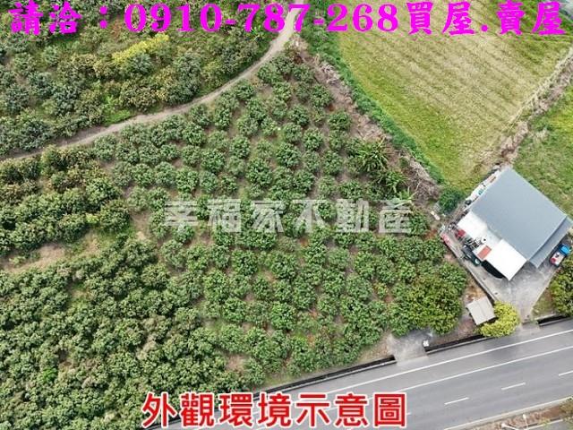 台南玉井農地-0