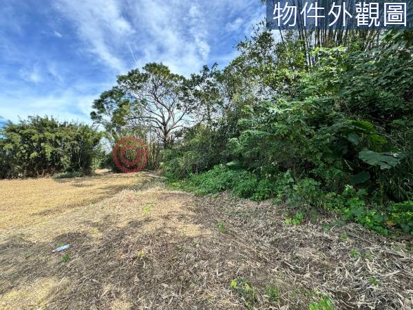新竹竹東農地-1