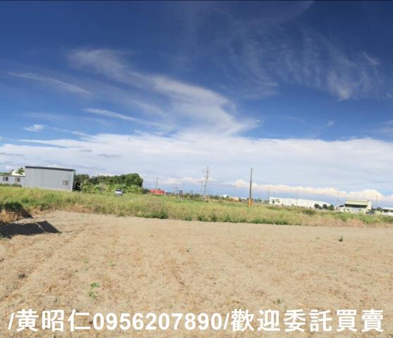 仁德農地-5